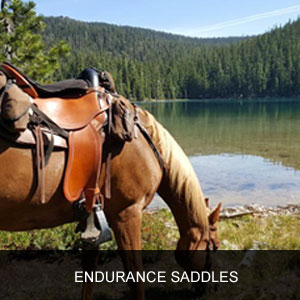 Endurance Riding - Riding Clothes, Horse Tack, Riding Gear