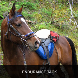 Endurance Riding - Riding Clothes, Horse Tack, Riding Gear