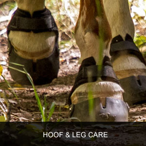 best hoof boots for endurance riding