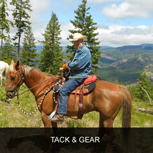 horse trail riding gear