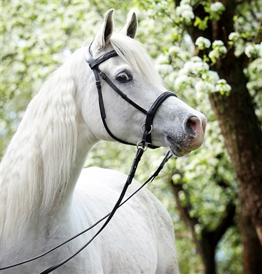 Bitless Bridles - Barefoot Contour Jewel Bridles